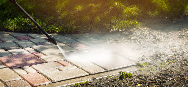 Best Sidewalk and Walkway Cleaning  in Manheim, PA